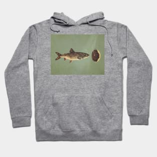 Irresistible Bait Hoodie